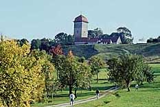 Landschaft